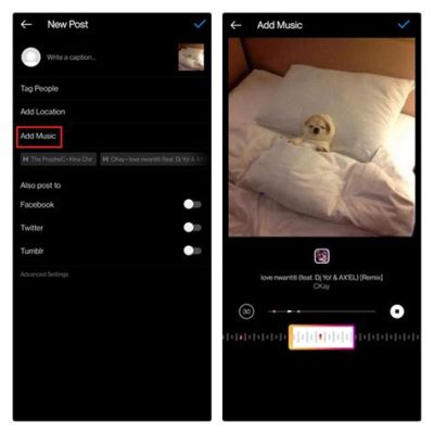 Can I Add Music to Instagram Post? Exploring the Symphony of Social Media